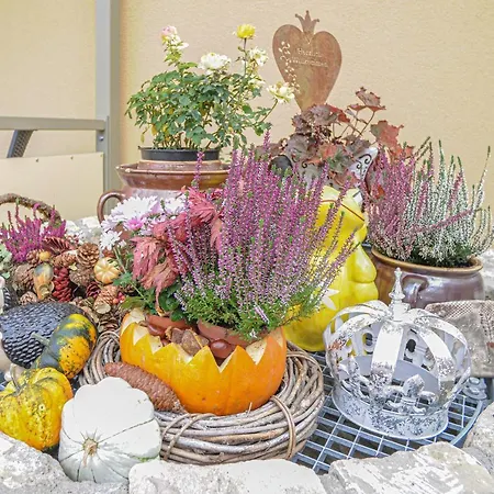 Koenigshof アパート